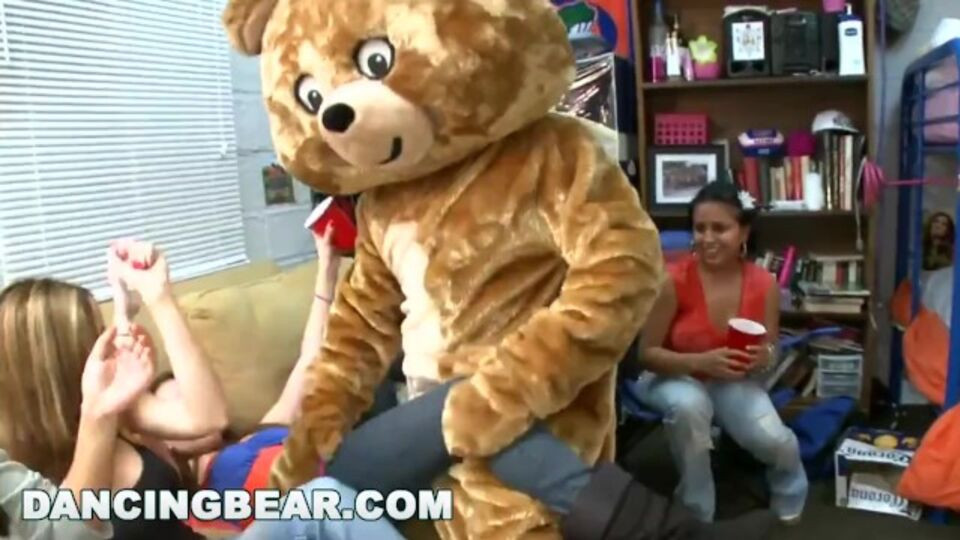 Dancing Bear - hd clip