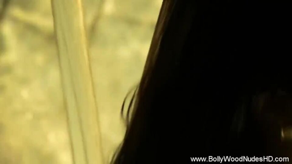 Bedmate's erotic video
