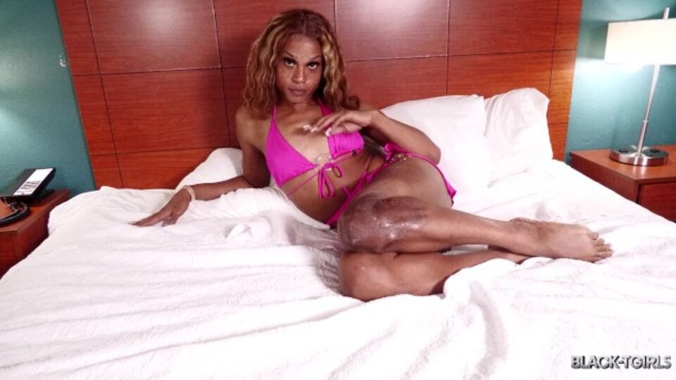 Black TGirls featuring sugar's sucking cock scene