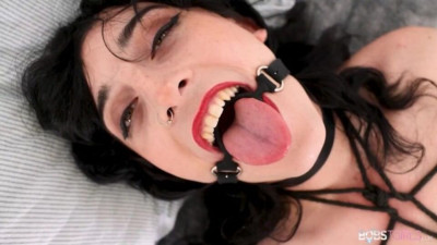 Bobs TGirls - masturbate xxx