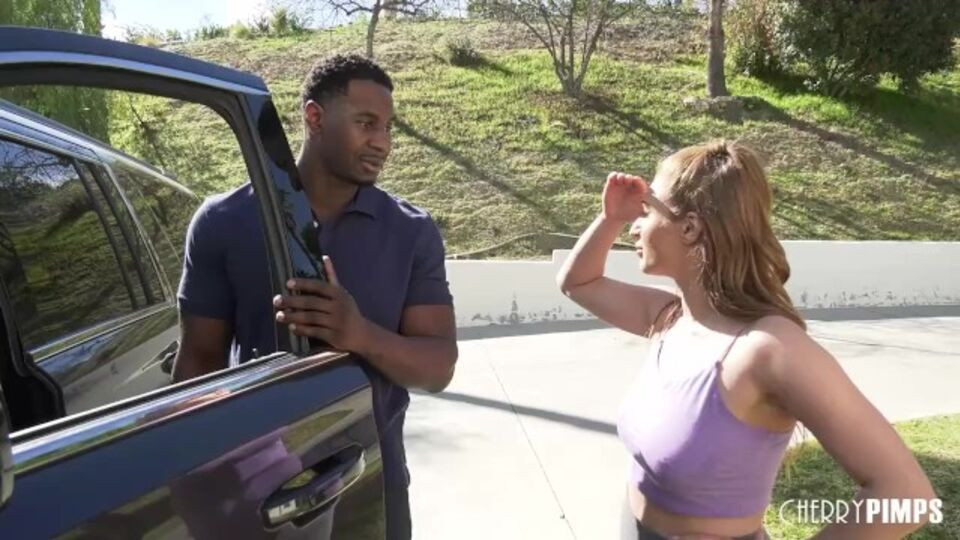 Beauteous Skylar Snow at pornstar dirt